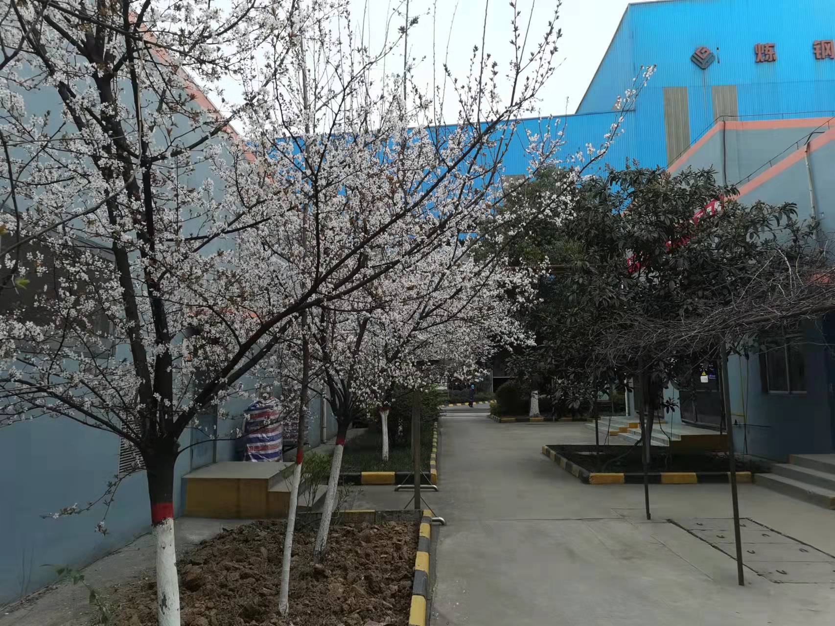 巧施“三點一線”功，促進環保大提升
