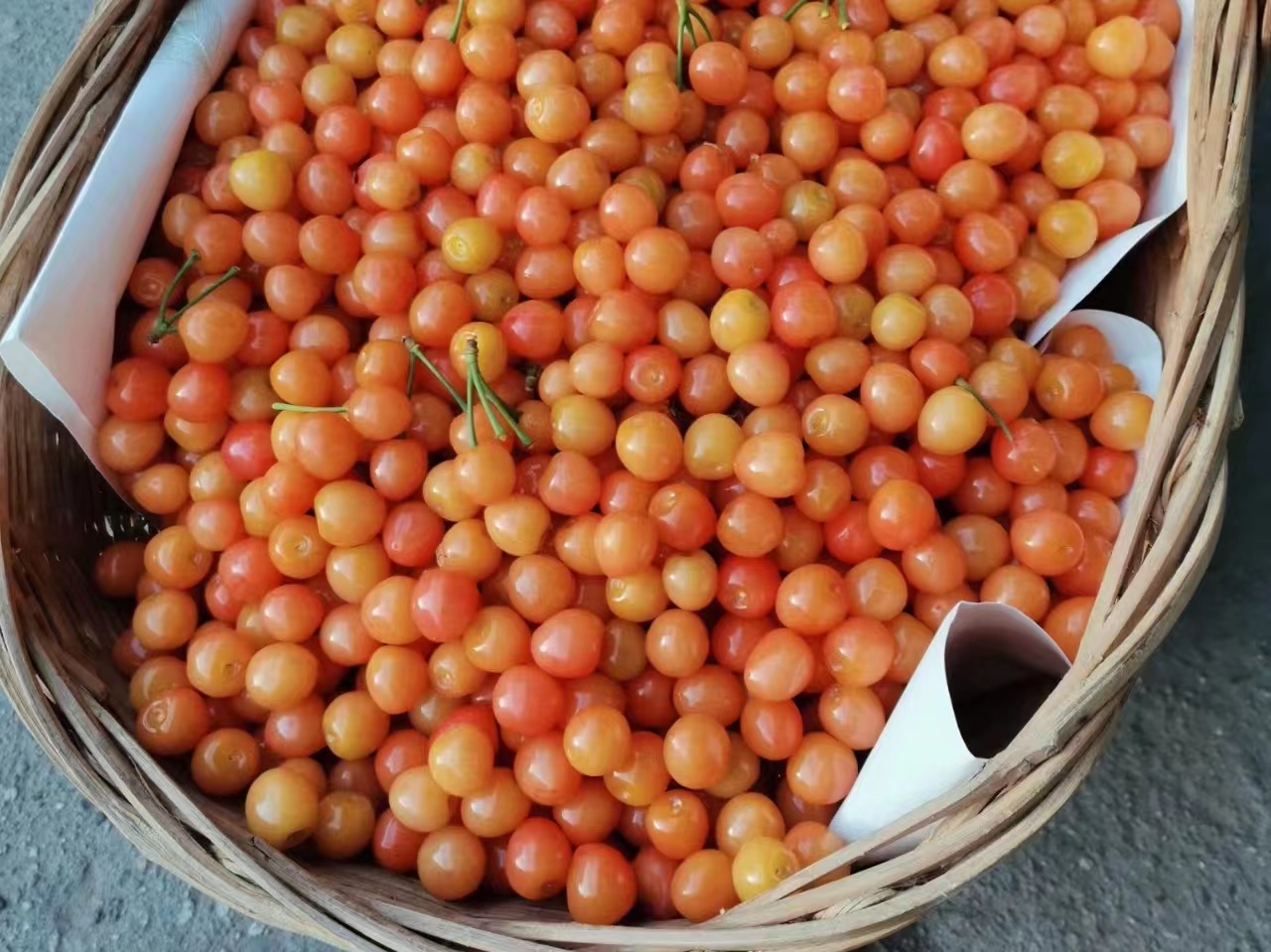 櫻桃紅時情更濃