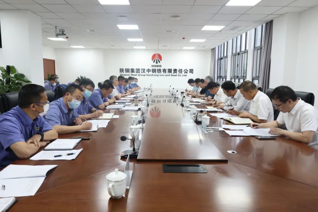 楊海峰到漢鋼公司調研指導工作