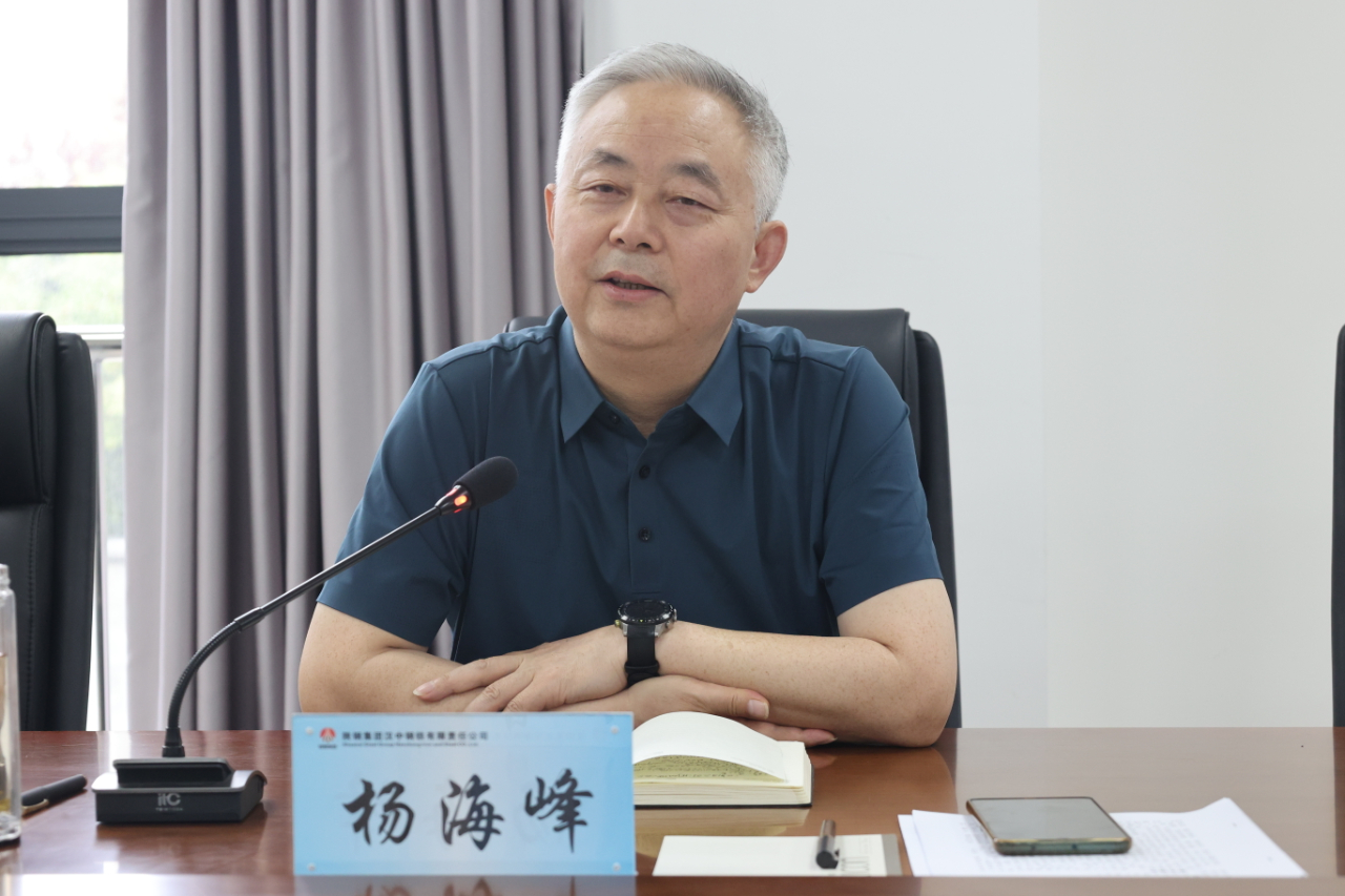 楊海峰到漢鋼公司調研指導工作