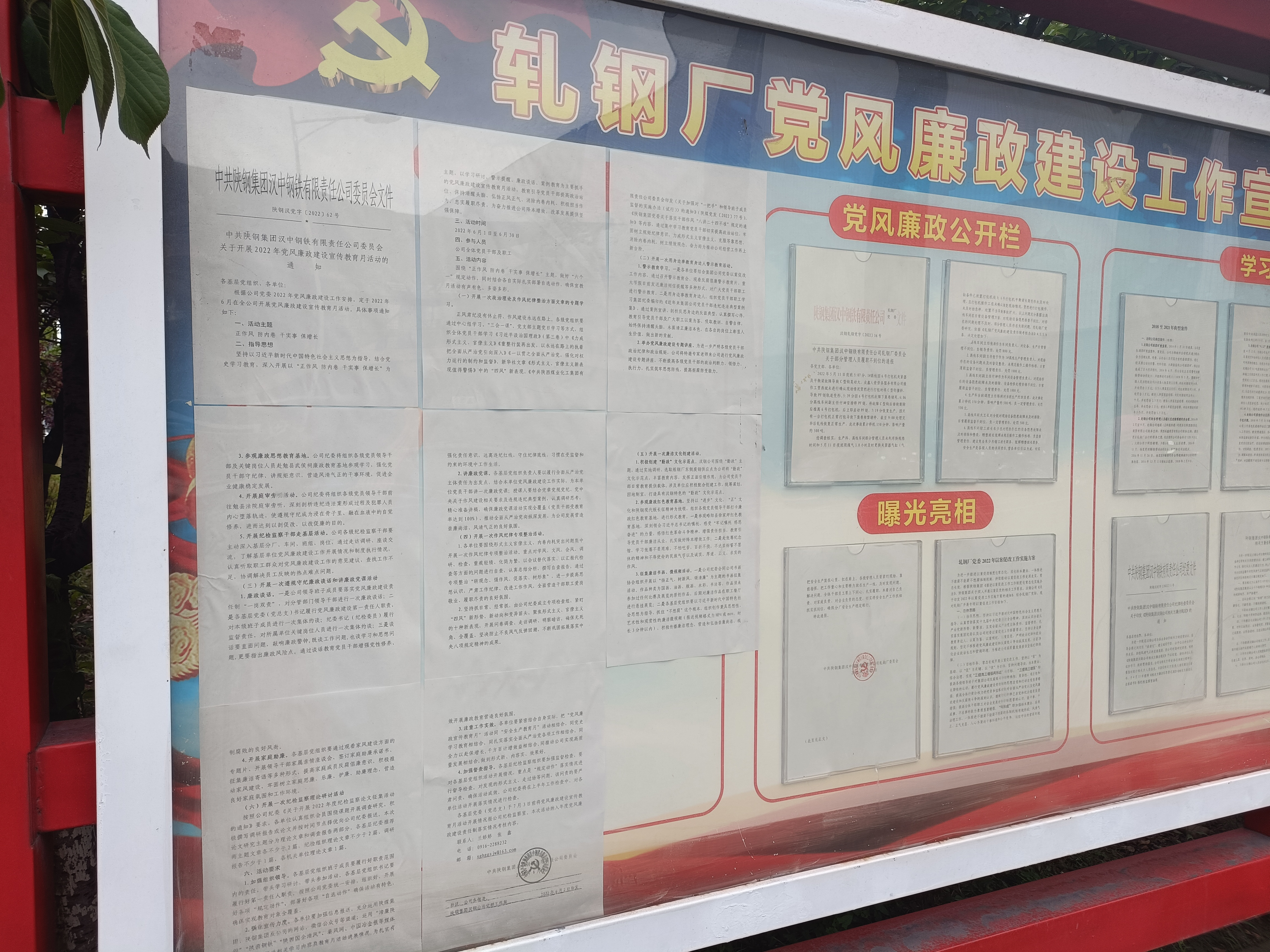 “蓮”花常開送清風  嚴字筑根譜新篇