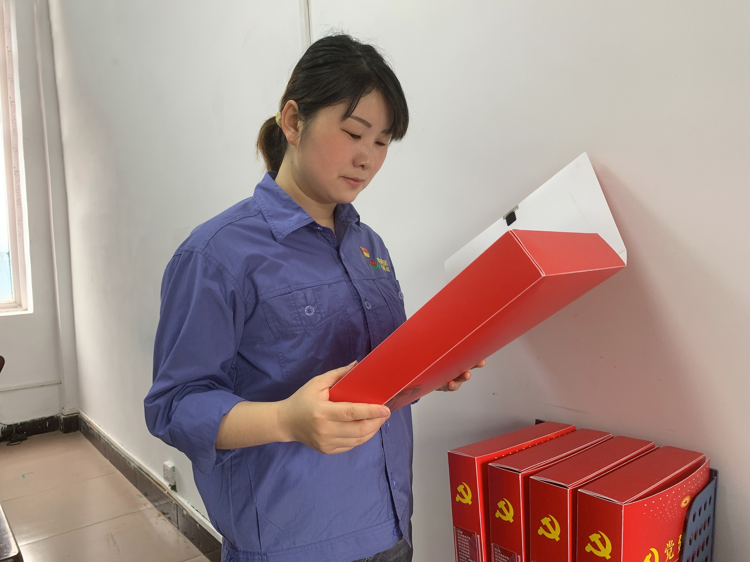 初心，在黨旗下閃耀---記陜鋼集團漢鋼公司“優秀黨委工作者”李培