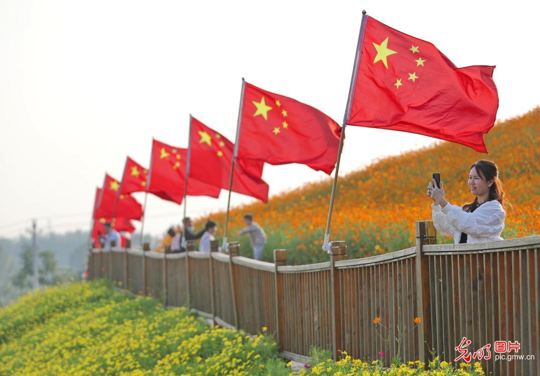 山河已秋，見證光陰的勛章