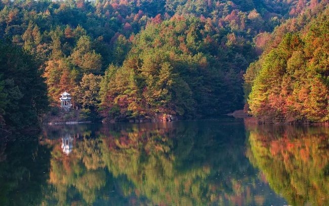 山河已秋，見證光陰的勛章