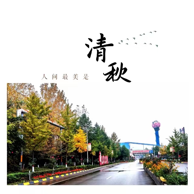 入眼皆是畫！打卡十里鋼城“花樣”秋天