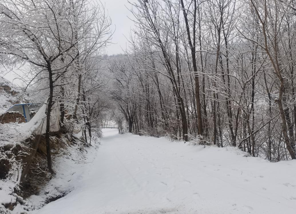 今我來思，雨雪霏霏
