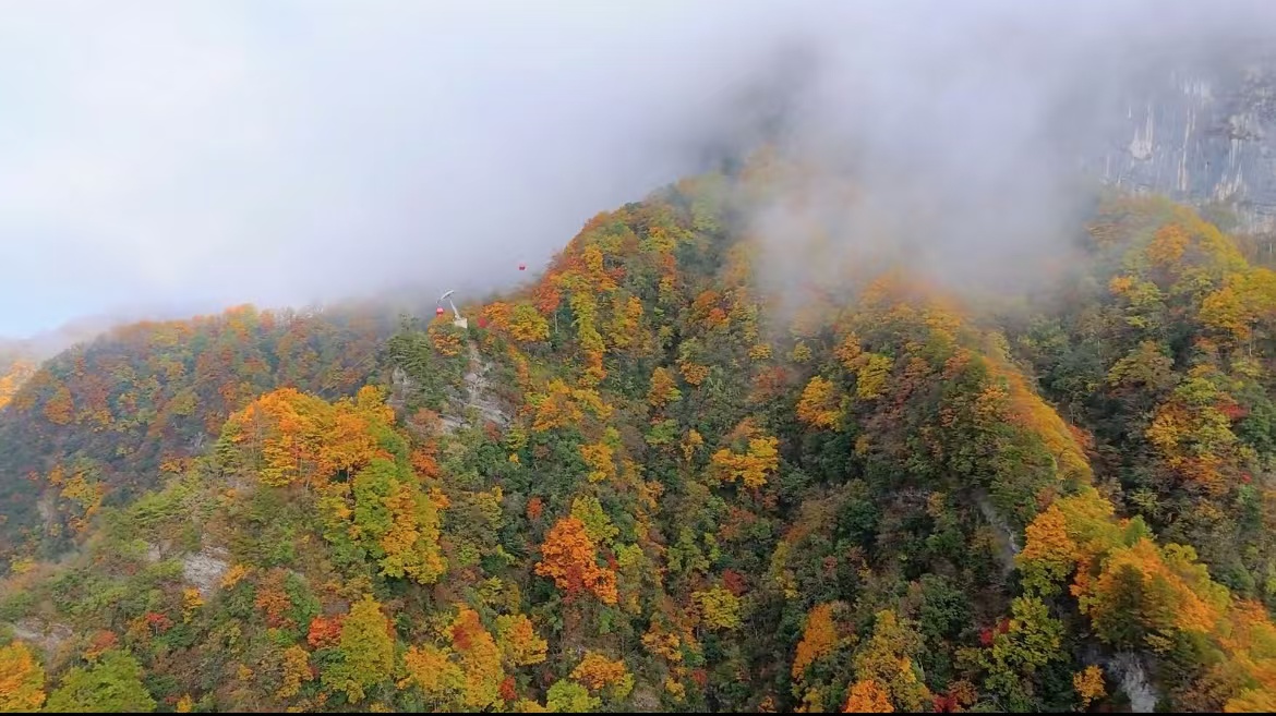 龍頭山，秋如醉