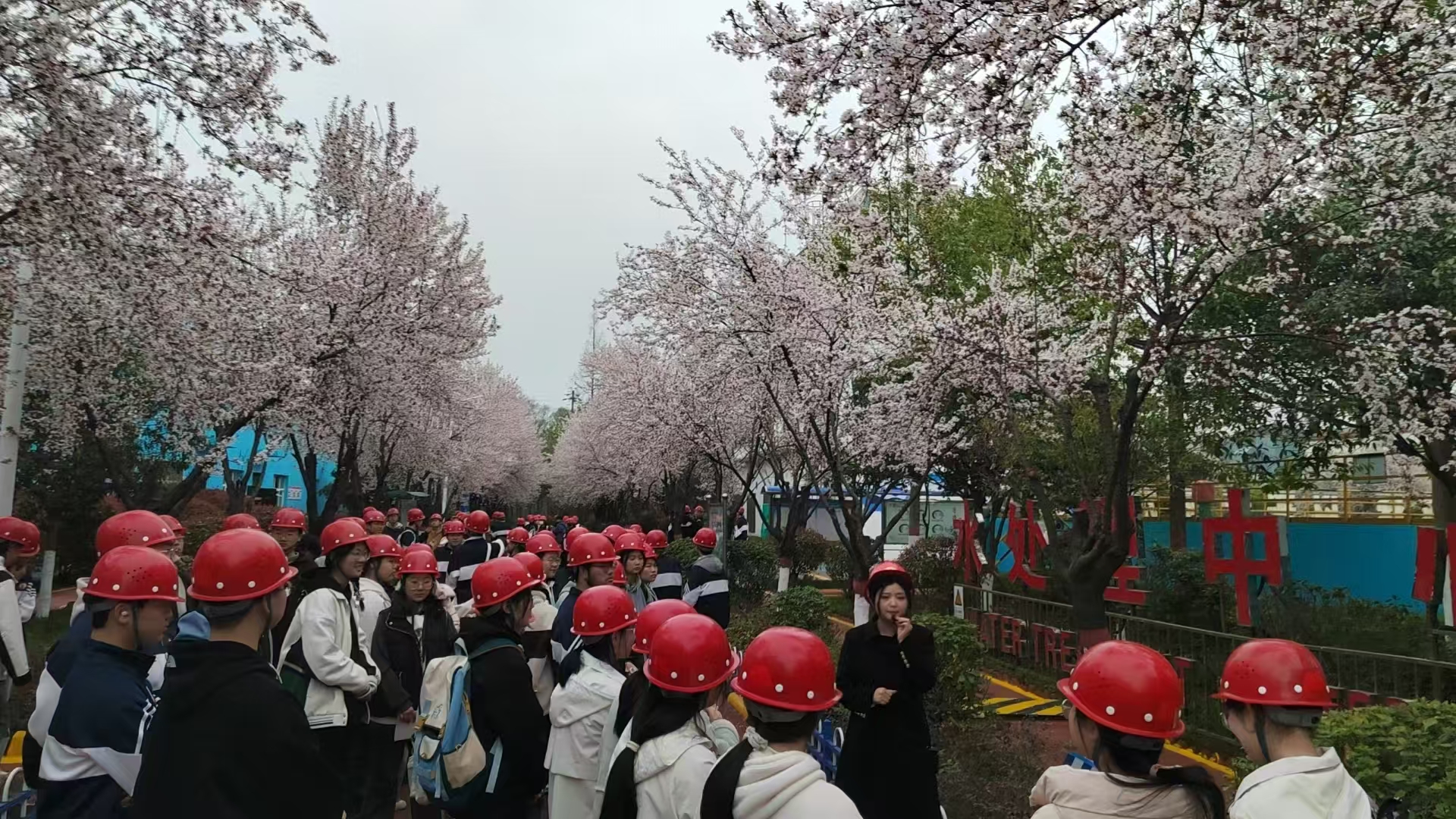 武侯中學百余名學生到公司參觀研學