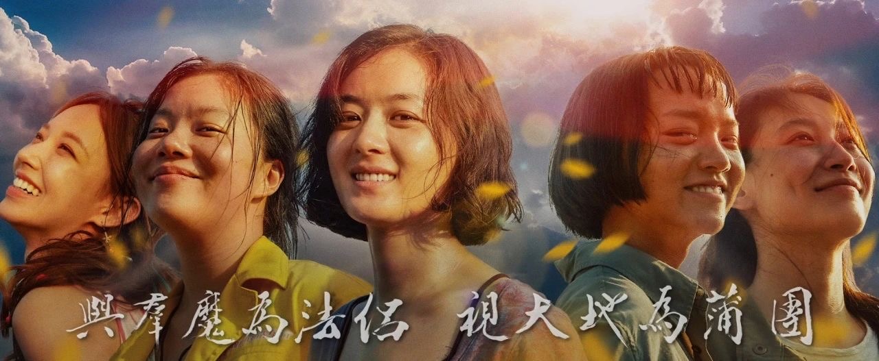 向陽而生，無畏綻放-觀《向陽花》有感