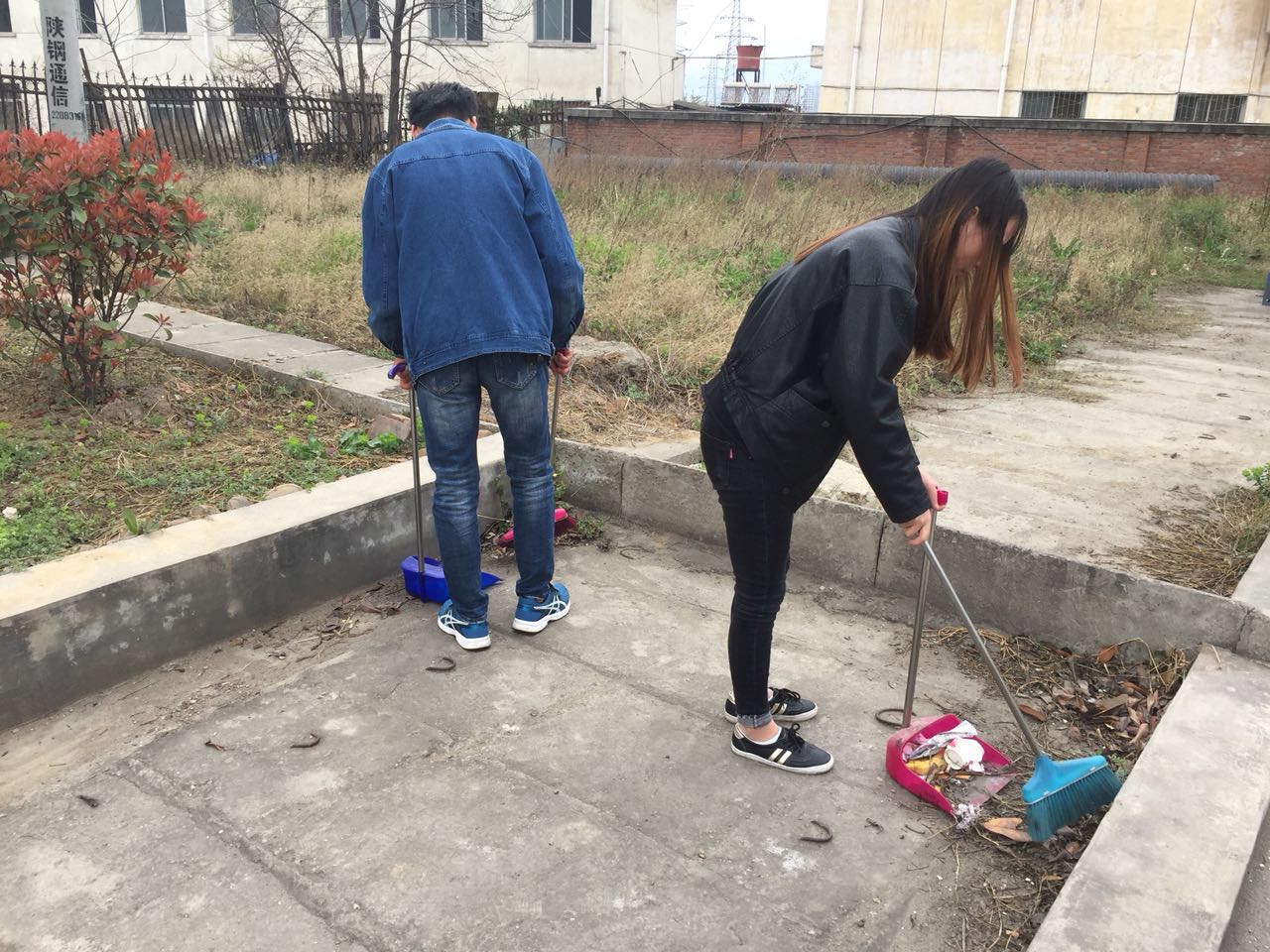 【團青動態】文明創建，有你更精彩