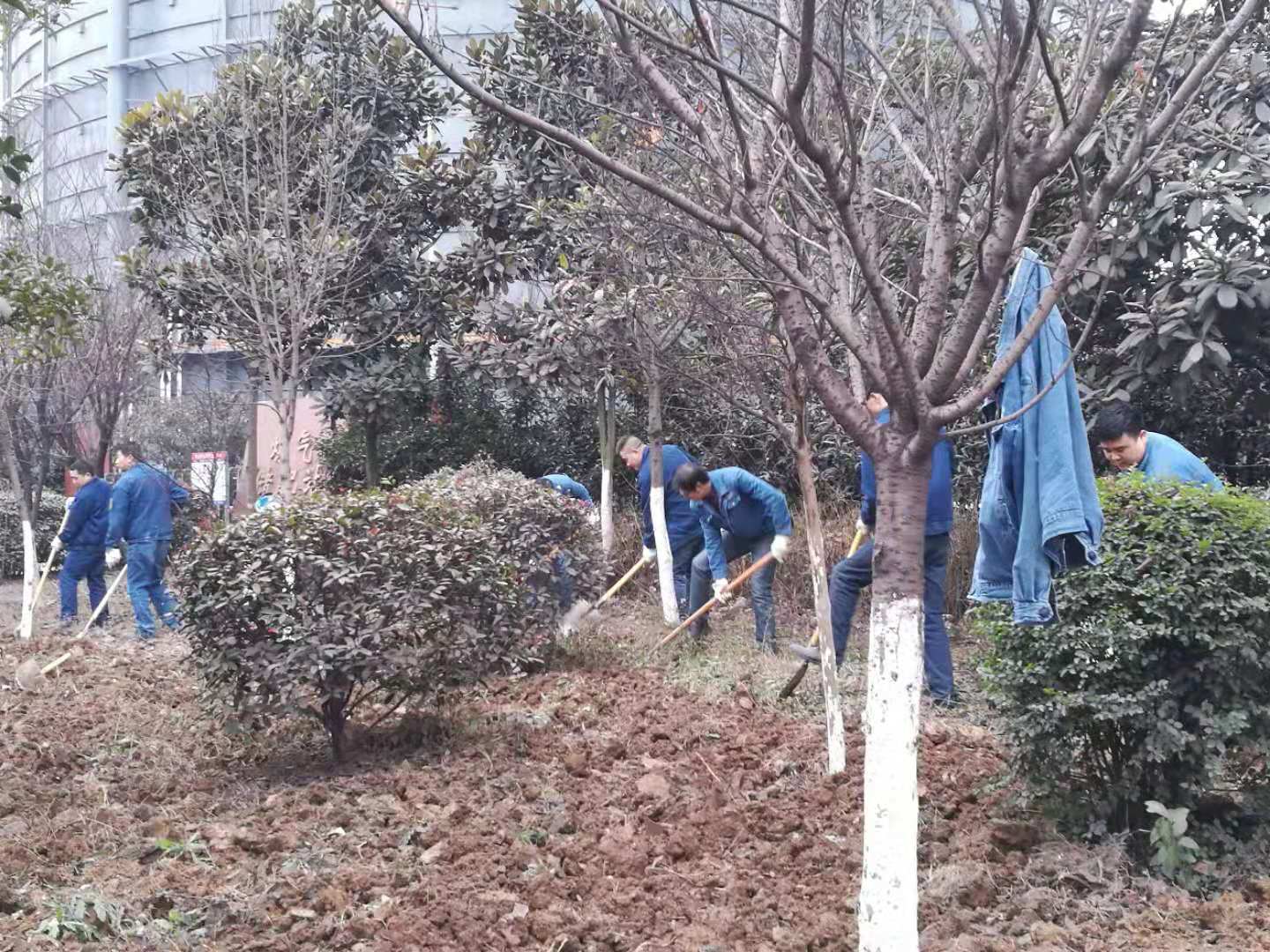 【美麗漢鋼】春暖花開季  護綠增綠正當時 ——漢鋼公司打響春季綠化美化攻堅戰