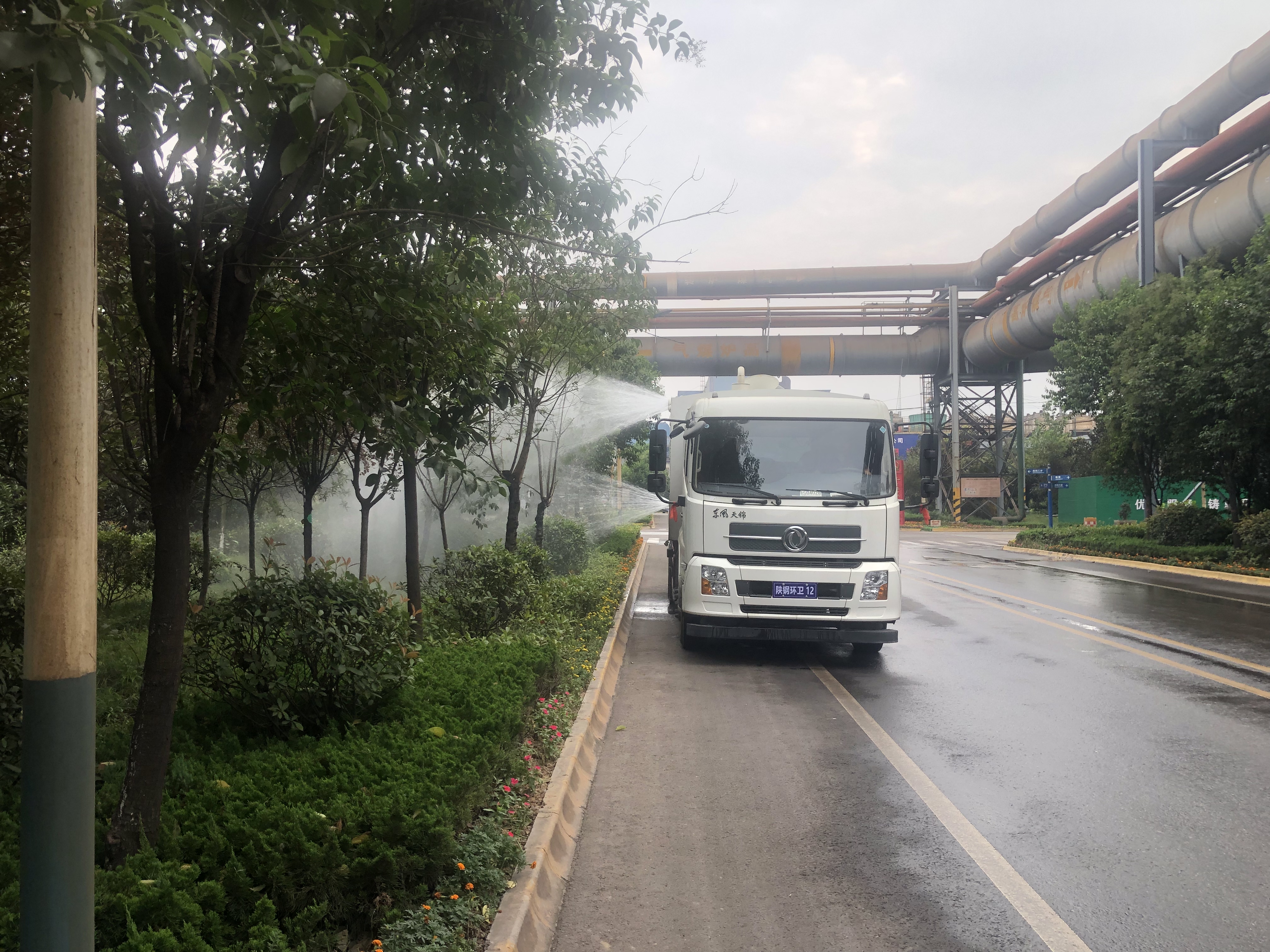 【基層動態】全員參與，打響綠植抗旱保衛戰