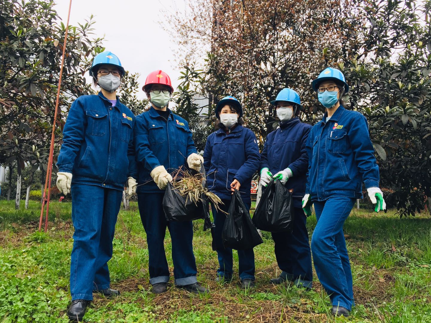 【美麗漢鋼】公司多措并舉 做好春季綠化苗木養護工作